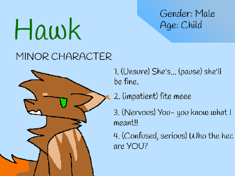hawk
