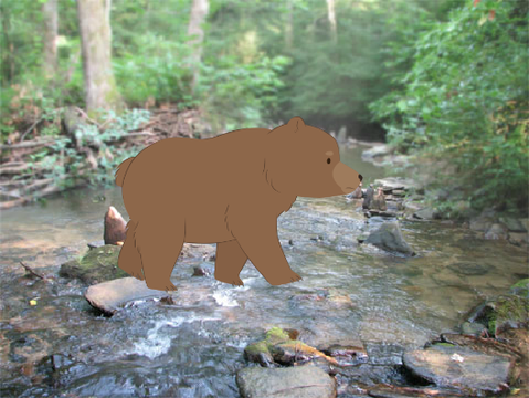 Walking Bear
