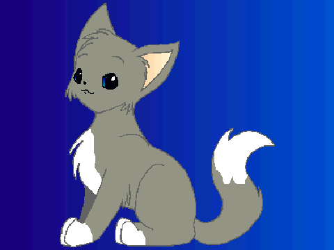 CONTESTOOOO!!!_mah entry :3