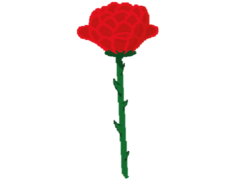 Rose (?)