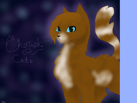 CherishCat Drawing Contest (CCDC) remix