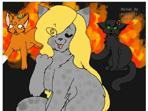 I am not sorry