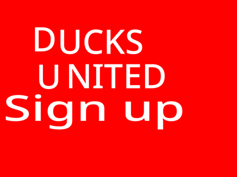 calling all ducks