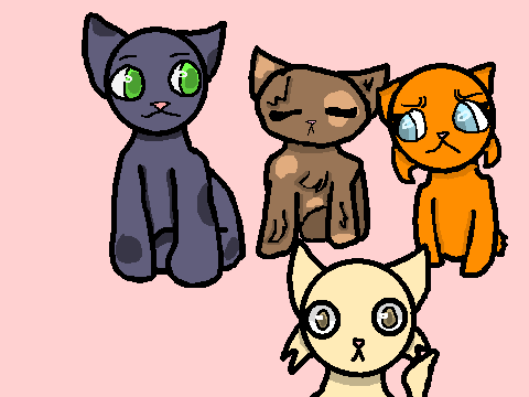 Adding cats until I can't