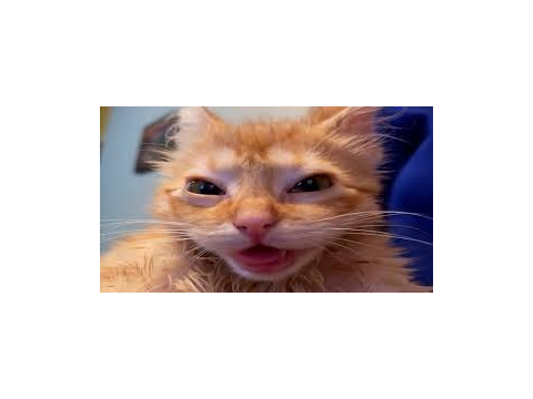 i dont think hes happy