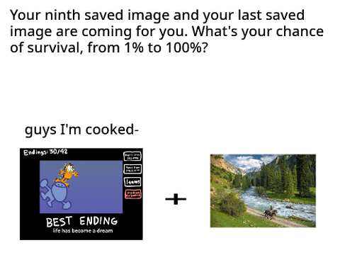 like a 98%