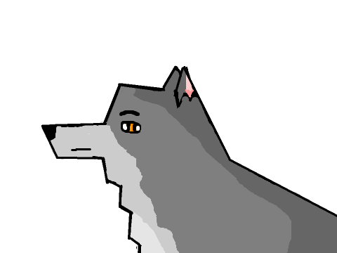 My Drawing Of A Wolf