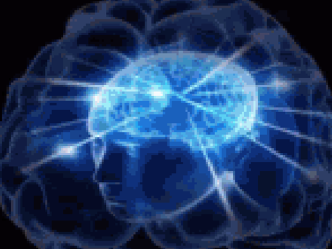 Brain meme