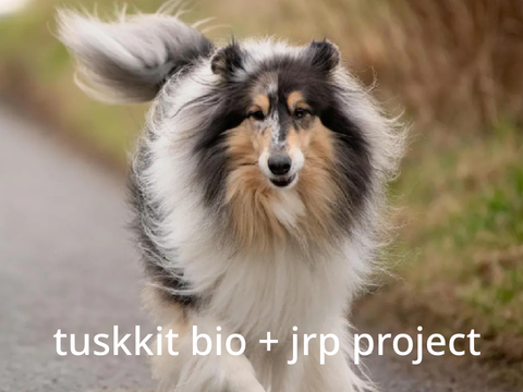 ♡ tuskkit’s bio + jrp project ♡