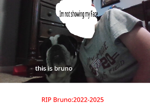 My dog Bruno died......