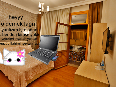 evde yanlız mısın?