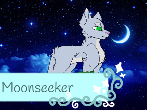 *+. Moonseeker ✦ Guiding Stars .+* 