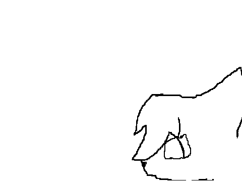 Practice Animation