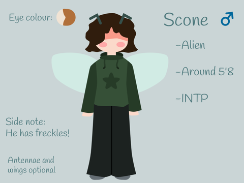 Persona reference