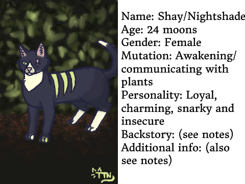 Unacceptance RP Bio Sheet: Shay