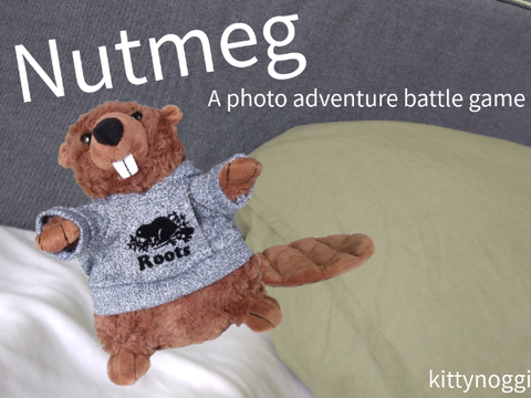 Nutmeg - a photo adventure battle game