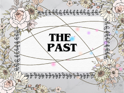 ⁺ ✦The Past⁺ ✦