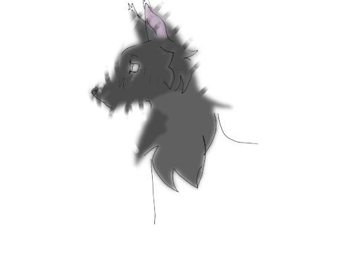 Reshared first animation :D