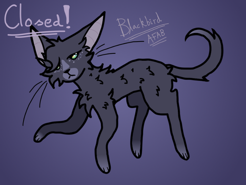 CLOSED ❝ Blackbird ❞ A SS MC Parented Litter