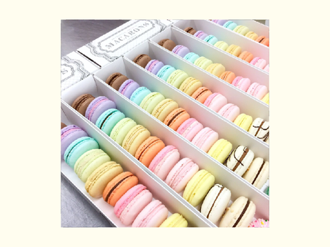 ʚ ♚ ɞ placeholder