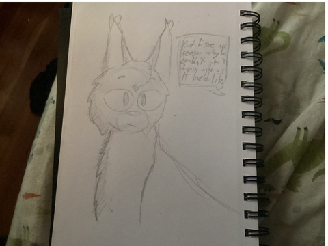 Panel Redraw 