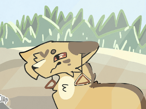 Part 6 - Cleopatra - Leopardstar AU