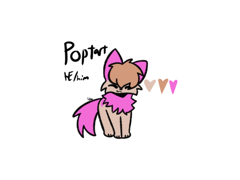 Poptart ref