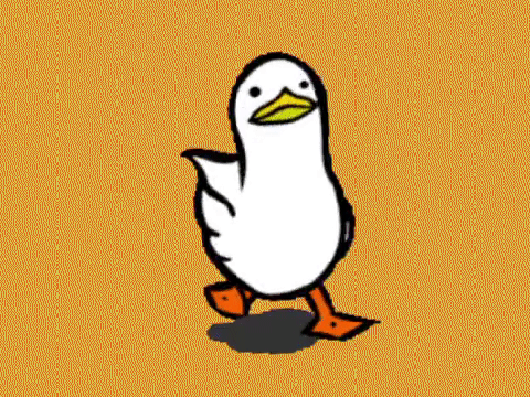 duck waddle