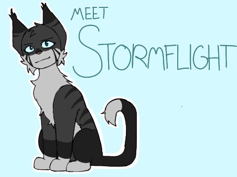 [] Warrior Cats OC Introduction []