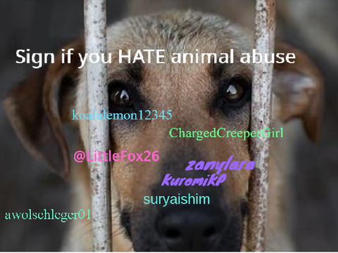 sign if you hate animal abuse IT IS NOT RIGHT remix remix remix remix