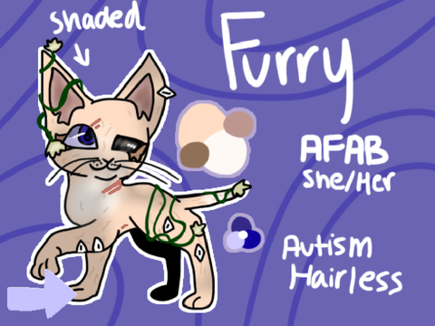 ★ Furrykit’s Cozy Cave. ★