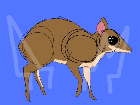 Not-so-Daily Animal #86