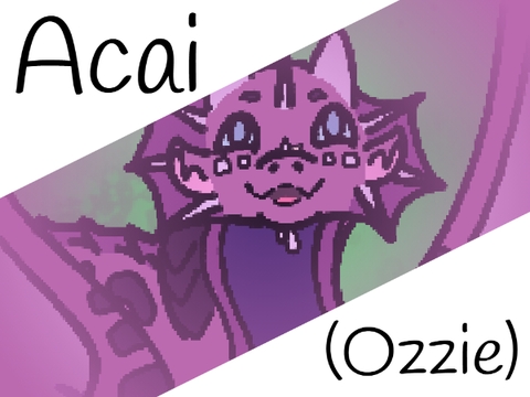 Acai