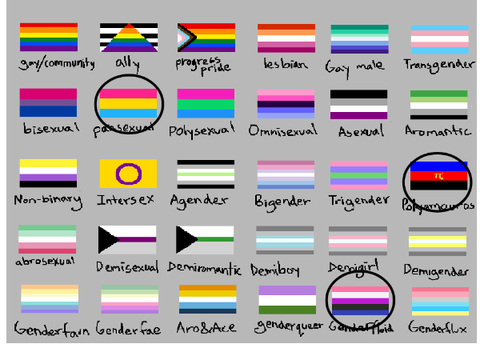 Remix and Circle your Identity flags [my r3mix] remix remix remix remix