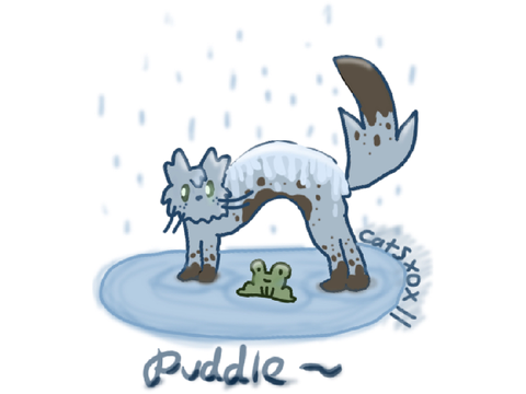 DTAE~Puddle
