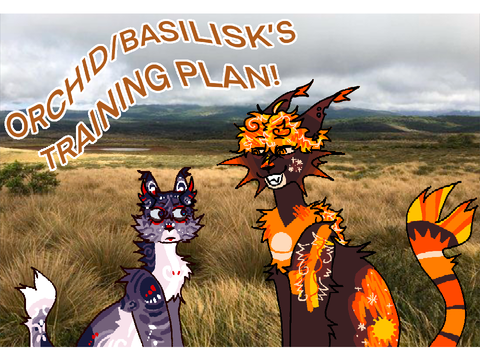 ✹ BASILISKGRIN/ORCHIDPAW TRAINING PLAN