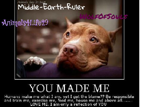 Sign To Stop Pit Bull Abuse!!!  remix