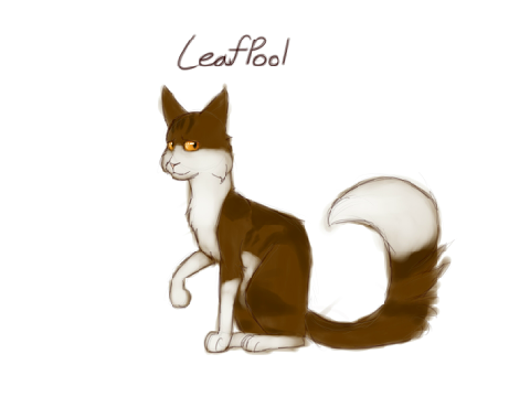 Warrior Cat Sketches [Medicine Cats]