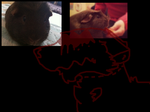 RIP Nibbles