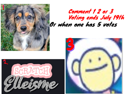 Should I change my profile pic 