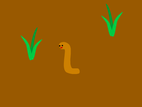 Worm