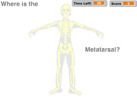 The Skeletal System Game!