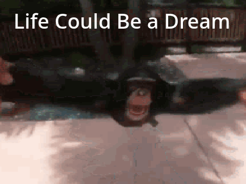 Life Could Be a Dream