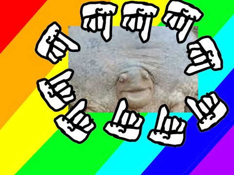 Turtle clicker