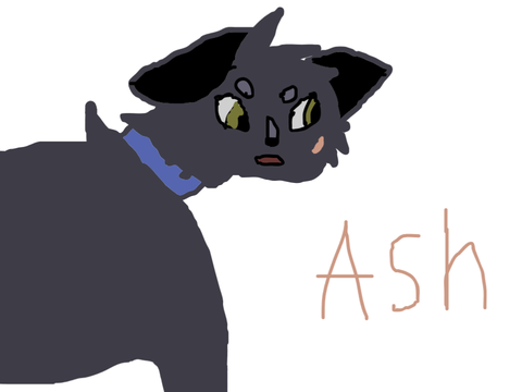 Strays fanart. Ash.