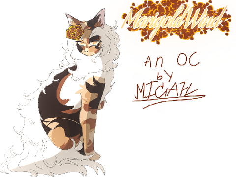 Oc ref | Marigold'Wind 