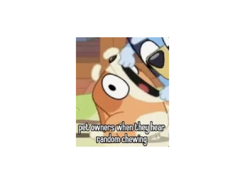 > chat 