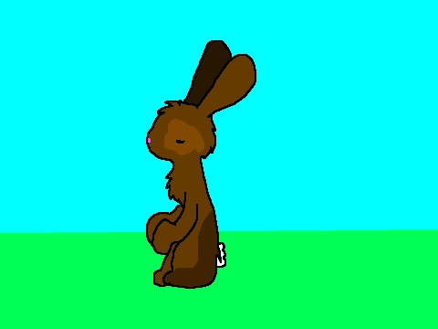 Animation Test -2