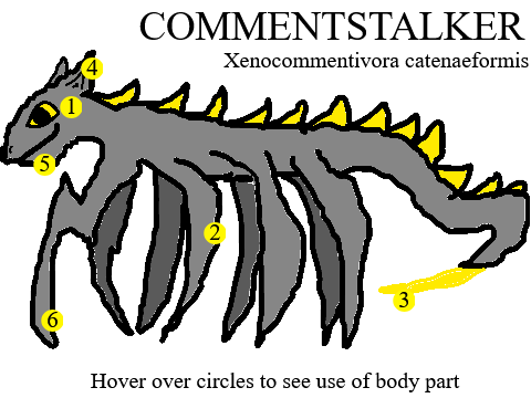 Anatomy of a comment stalker (SATIRE)