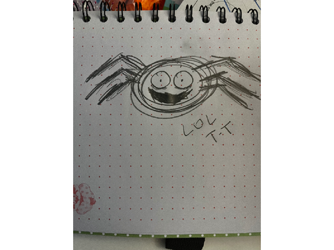 Very realistic spider